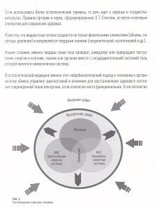 Нейровегетативная система